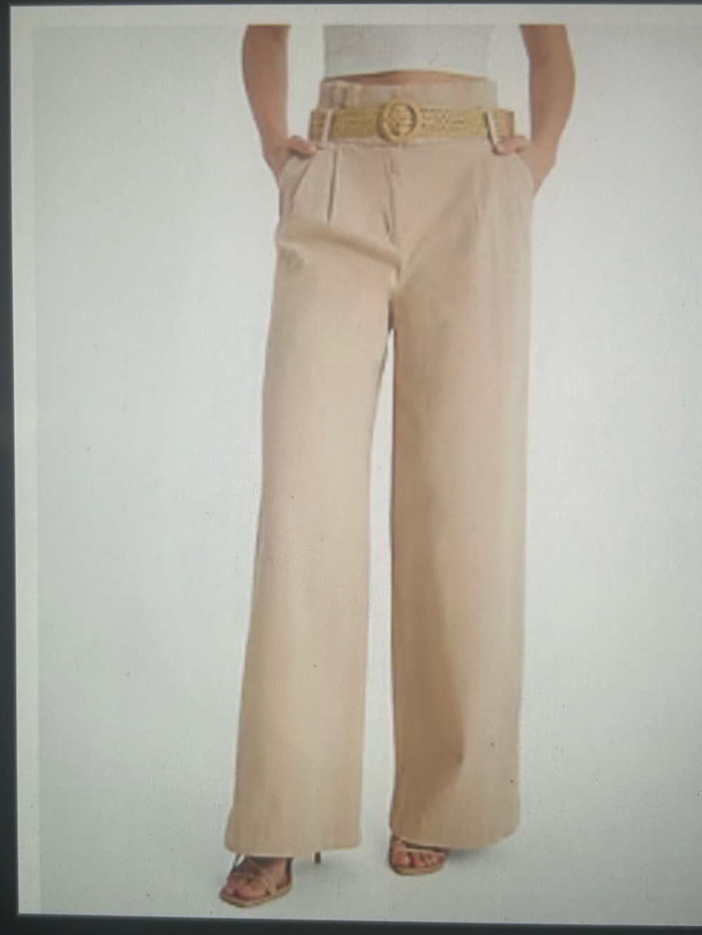 Express Wide-Leg High-Waisted Trousers with Pleats Tan